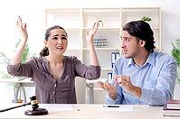 The concept of divorce of the young family in marriage [IBR125382597]