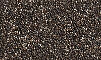 Front-facing texture of ground black pepper evenly covering surface, irregular grain sizes. AI generated [IBR125395922]