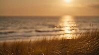 Sea Horizon at Sunset with Golden Light Path and Blurred Dune Grass, Warm Ocean Sparkle Bokeh Background with Copy Space, AI generated [IBR125395933]