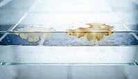 Solar panel encapsulant layer with hazy yellowish-brown internal discoloration patches beside clear transparent zones, extreme macro cross-section photography, AI generated [IBR125395936]