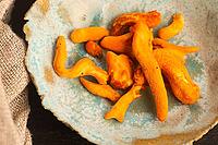Cordyceps Mushrooms on Handmade Ceramic Plate [IBR125405001]