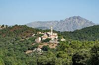 View from department road D5 of the picturesque mountain village of Lento with its traditional natural stone houses and the slender church tower in front of the jagged rock peaks of the Aiguilles de Popolasca in the Monte Cinto massif under a blue sky, Le [IBR125405016]
