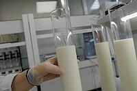 Milk in the laboratory. Milk tests for laboratory tests [IBR125405018]