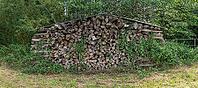 Stacked logs on the edge of a forest behind a meadow, Leimbach, Thurgau, Switzerland [IBR125405081]