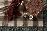 Flat lay of a tartan picnic blanket with a copper thermos wicker basket and enamel mugs on frosted grass. AI generated [IBR125407393]
