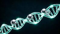 Abstract row of silver nanoparticles along glowing teal DNA double helix strand, dark background, studio shot, AI generated [IBR125407406]