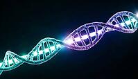 Abstract single glowing DNA strand with teal to violet color seam marking ligation join, dark background, studio shot, AI generated [IBR125407409]