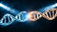 Abstract two glowing blue and amber DNA fragments joining at sticky ends, dark background, studio shot, AI generated [IBR125407445]