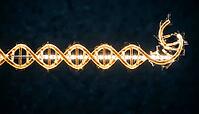 Abstract glowing amber DNA strand with exposed single strand sticky end overhang, dark background, studio shot, AI generated [IBR125407447]