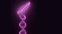 Abstract vertical glowing magenta DNA strand unwinding into exposed sticky end overhang, dark background, studio shot, AI generated [IBR125407457]
