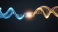 Abstract two glowing blue and amber DNA fragments joining at sticky ends, dark background, studio shot, AI generated [IBR125407458]