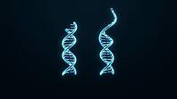 Abstract side by side comparison of short and long glowing DNA sticky end overhangs, dark background, studio shot, AI generated [IBR125407459]