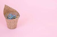 Small juicy Echeveria Apus in a pot and wrapped in burlap on a pink pastel background [IBR125411082]