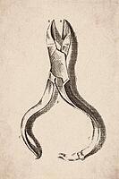 Dental Extraction Pliers and Forceps, Antique Dental Engraving, 1786, Digitally Remastered and Enhanced [IBR125411098]