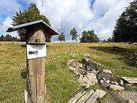 Source of the river Lenne Lennequelle on top of Kahler Asten in the Rothaargebirge with left small information board at the bottom right at the source Metal plate on it inscription Lennequelle 830 m above sea length of the river 138 km, Winterberg, Sauerl [IBR125414223]