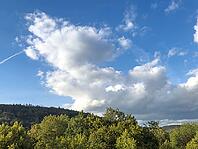 White cluster clouds of cumulus under blue sky pass over treetops treetops of mixed forest in low mountain landscape, Germany [IBR125414252]