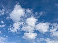 Wind-driven white slightly frayed torn torn cluster clouds driving Alttocumulus Cumulus fractus under blue sky, Germany [IBR125414259]