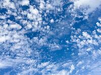 Sheep clouds Altocumulus cluster clouds on under blue sky, international [IBR125414260]