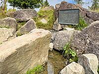 Source of the river Lenne Lennequelle on top of Kahler Asten in the Rothaargebirge with metal plate on it inscription Lennequelle 830 m above sea length of the river 138 km, Winterberg, Sauerland, North Rhine-Westphalia, Germany [IBR125414279]