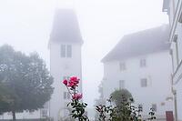 Roses, behind the castle tower of Seggau Castle in fog, Seggau Castle, near Leibnitz, Styria, Austria [IBR125415361]