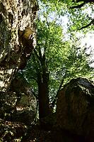 The Quarzite Rock Graue Lei, a natural monument in the Morbach area in the Hunsrück region and the largest monolith in the Rhenish Oberland, Rhineland-Palatinate, Germany [IBR125415411]