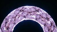 Abstract finely mottled violet lavender cross-sectional ring visualization representing cardiac extracellular volume mapping, dark background, clinical imaging concept, AI generated [IBR125421208]