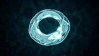 Abstract glowing teal cyan cross-sectional ring visualization representing cardiac MRI T2 tissue mapping, localized bright zone, dark background, clinical macro photography, AI generated [IBR125421257]