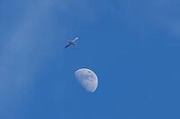 Airbus jet commercial passenger aircraft of Wizzair airlines flying in a blue sky with the moon in the background, England, United Kingdom [IBR125423489]