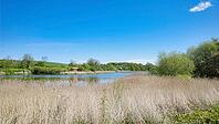 View over a lake, Sonderborg Municipality, Syddanmark Region, Denmark [IBR125423504]