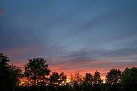 Evening sky with tree silhouettes, Bavaria, Germany [IBR125424501]