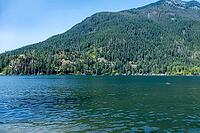 A serene natural landscape featuring clear blue lake water leading to a densely forested mountain under a bright sky with scattered houses along the shore, kettle Valley trail, BC Canada [IBR125424525]
