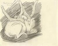 David's Stag, Reclining Stag, 1910, artwork by Franz Moritz Wilhelm Marc (born 8 February 1880 in Munich, died 4 March 1916 in Braquis near Verdun, France), German painter, draughtsman and printmaker. He is regarded as one of the most significant painters [IBR125424534]