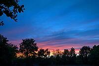Evening sky with tree silhouettes, Bavaria, Germany [IBR125424536]