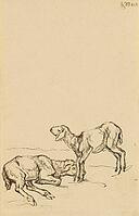 Two Lambs, 1908, artwork by Franz Moritz Wilhelm Marc (born 8 February 1880 in Munich, died 4 March 1916 in Braquis near Verdun, France), German painter, draughtsman and graphic artist. He is regarded as one of the most important painters of Expressionism [IBR125424544]