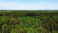 Aerial drone view over green forest in Schleswig Holstein Germany [IBR125436216]