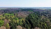 Forest landscape in Germany with wind turbines generating clean, renewable energy [IBR125436252]