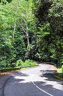 Seychelles island road winding through vibrant green jungle, creating a path for adventure and exploration in nature [IBR125436267]