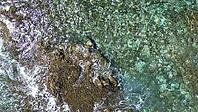 Clear ocean water gently washing over dark volcanic rocks with seabed visible from aerial view [IBR125436274]