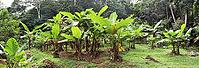 Beautiful impressions of the tropical landscape on the Seychelles islands paradise [IBR125436307]