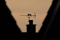 Collared dove (Streptopelia decaocto) two adult garden birds courting on an urban house roof televison aerial silhouette at sunset, England, United Kingdom [IBR125437973]