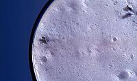 Close-up of frothy white liquid in dark glass against blue background, AI generated [IBR125446444]
