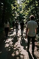 Back view of friends walking along dirt trail through dense forest, outdoor exploration and communal bonding in nature, dappled sunlight filtering through green canopy foliage onto ground, elongated silhouettes casting prominent cast shadows on gravel roa [IBR125446447]