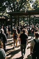 Crowd of curious spectators gathered at a glass enclosure, summer shadows cast dynamic lines across the open zoo courtyard, collective leisure culture and public congregation converge within a sheltered observation structure, sun dappled pathways define m [IBR125446455]