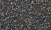 Straight-on texture of chia seeds densely packed, tiny black and gray seeds evenly distributed, AI generated [IBR125446483]
