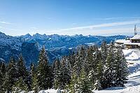 Mountain panorama and snowy mountain forest with Tegelberghaus, snowy mountain peaks of the Allg$00E4u and Ammergau Alps, at the summit of the Tegelberg in winter, mountain landscape, winter landscape, Tegelberg, F$00FCssen, Allg$00E4u, Bavaria, Germany [IBR125448823]