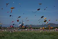 FR$00C9JUS, FRANCE - SEPTEMBER 20, 2026: Kites above vegetation at an air festival during the Festival International de l'Air at Base Nature Fran$00E7ois L$00E9otard [IBR125448828]