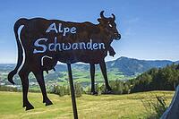 A rusty metal cow marks Alpe Schwanden as a traditional alpine farm, the flat silhouette also serves as a signpost and regional symbol in the mountain area on Mittagberg, 1452m, above Immenstadt, Allg$00E4u, Bavaria, Germany [IBR125448844]