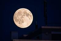The full moon, which is also called harvest moon or autumn moon in September, glows in the evening sky, Frankfurt am Main, Hesse, Germany [IBR125448864]