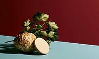Fresh celery root with green leafy top on blue surface. Red background adds contrast to natural produce. Sliced half reveals pale interior texture, AI generated [IBR125448889]