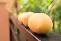 Fresh ripe mangoes with tropical leaves background representing healthy nutrition and summer lifestyle [IBR125462049]